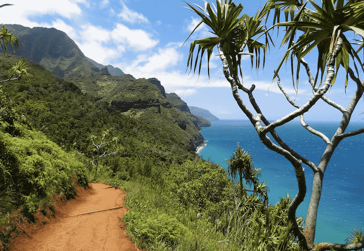 Discover Kauai's Top Hiking Trails